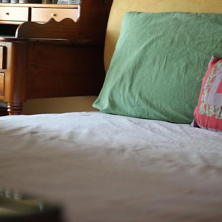 Lemon Tree Terrace Apartment Napoli Bagian luar foto
