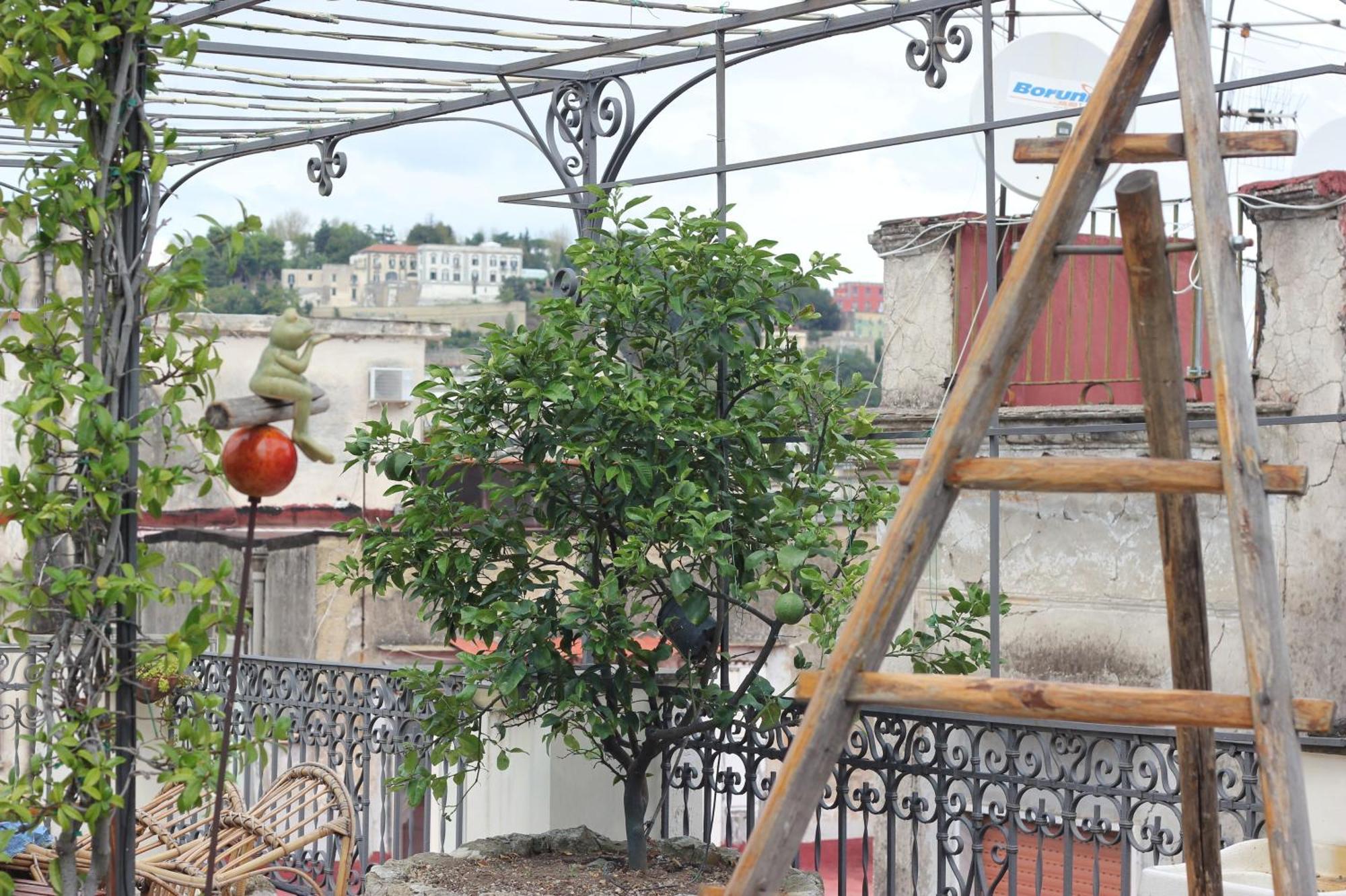 Lemon Tree Terrace Apartment Napoli Bagian luar foto